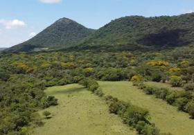 Farm for sale in Acahay, Paraguay