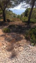Plots / Land  for sale in Cala Pi David Muñoz, Spain