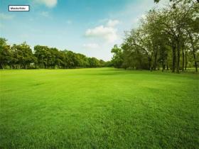 Grundstück_Wiese_2_Musterfoto - Parcelas Ejecuciones hipotecarias en Pößneck, Alemania