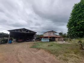 Presidente Figueiredo Farm - Opération agricole en vente à Président Figueiredo, Brésil