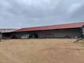 Farm mit 770 ha Halle 2 - Fazenda / Rancho à venda em Pitești, Roménia