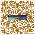 扁平 春武里府  泰国 | QR-CODE ...