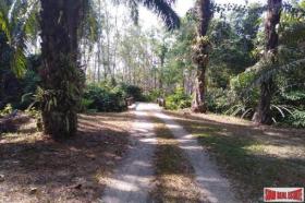 Property land/forestry for sale in Phang-nga Province, Thailand