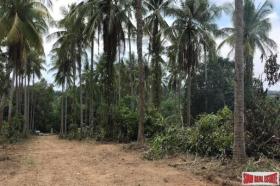Property land/forestry for sale in Phang-nga Province, Thailand