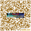 扁平 曼谷  泰国 | QR-CODE ...