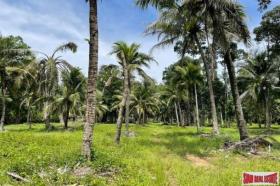 Propriedade da terra / florestal à venda em Phuket, Tailândia