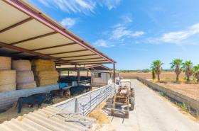 casa per le vacanze in affitto a Campos, Spagna