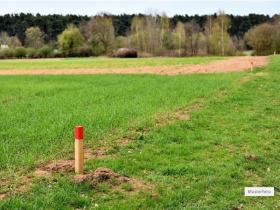 Grundstück_Wiese_Musterfoto - Plots / Land  Foreclosures in Oberlungwitz, Germany