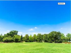 Grundstück_Wiese_1_Musterfoto - Дом Выкупа в Зост-Зост, Германия