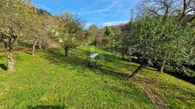 building ground  for sale in Wald-Michelbach-Bergstraße, Germany