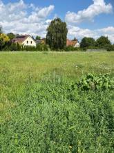 Baugrundstück zu verkaufen in Plau am See, Deutschland