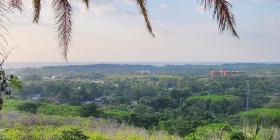 Terrain sylviculture nationale en vente à Phuket, Thaïlande
