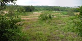 Property land / bosbouw te koop in Bangkok-Bueng Kum District, Thailand