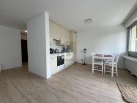 Floor Apartment for rent in Männedorf, Switzerland