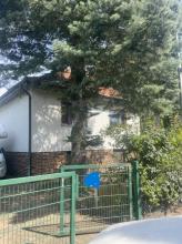 Detached house for sale in Berlin-Britz, Germany