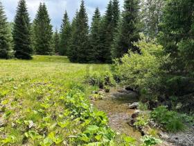 Baugrundstück zu verkaufen in Glödnitz, Österreich