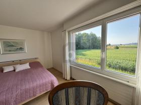 Semi-detached house for sale in Birr, Switzerland