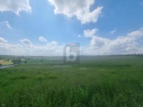 building ground  for sale in Reichartshausen-Rhein-Neckar-Kreis, Germany
