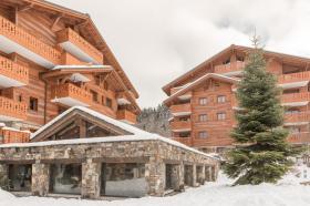 Holiday home for rent in Les Carroz, France