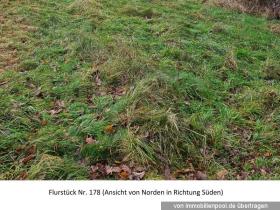 Property land/forestry Foreclosures in Niederkirchen-Kaiserslautern, Germany