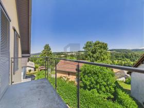 Duplex apartment for rent in Donneloye, Switzerland