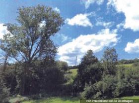 1 - Property Land / erdo