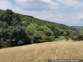 1 - Property land/forestry Foreclosures in Eulenbis, Germany