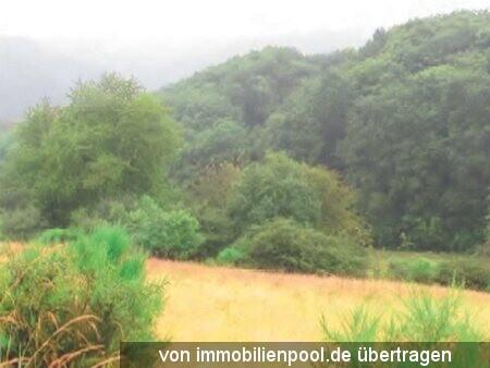 Property land / bosbouw Foreclosures in Bleckhausen-Landkreis Vulkaneifel, Germany