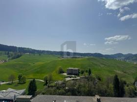 appartement mansardé en vente à Le Locle, Suisse