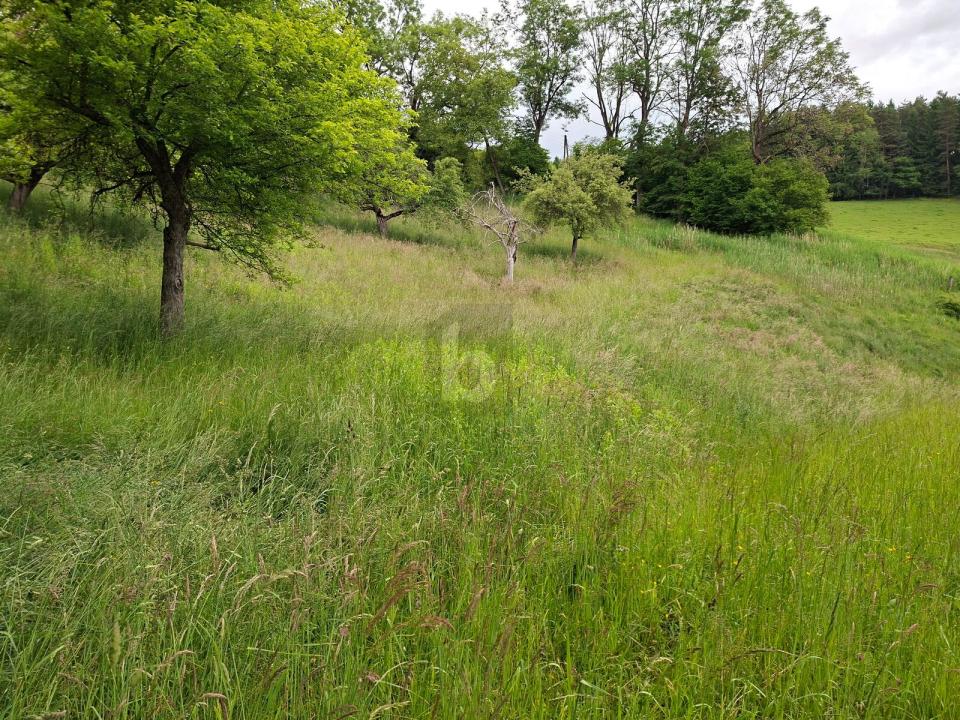 terrain à bâtir en vente à Wachsenberg, Autriche