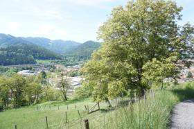 建築用地 抵当流れ で Bruck an der Mur-Paulahofsiedlung, オーストリア