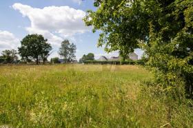building ground  for sale in Annaburg-Purzien, Germany