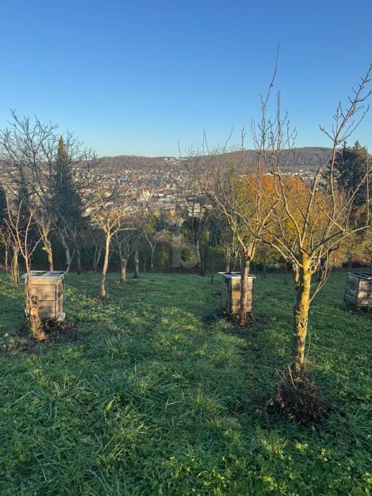 Propiedad de la tierra / forestal en venta en Lörrach-Lörrach, Alemania