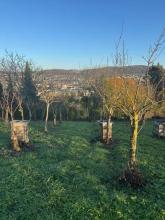 Property land / bosbouw te koop in Lörrach-Lörrach, Germany