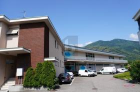 Living & Firm, business-house for sale in Lamone, Switzerland