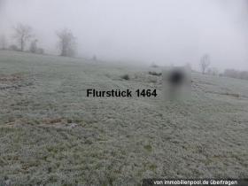 1 - Property land/forestry Foreclosures in Schemmerhofen-Biberach, Germany