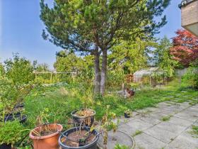 Apartamento en planta baja en alquiler en Weisslingen, Suiza