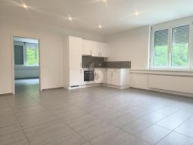 Apartamento en alquiler en Grellingen, Suiza