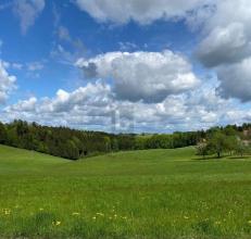 terrain à bâtir en vente à Maria Schmolln, Autriche