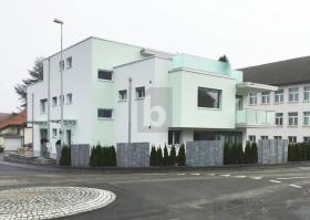 Gulv Leilighet  til leie i Menziken, Sveits