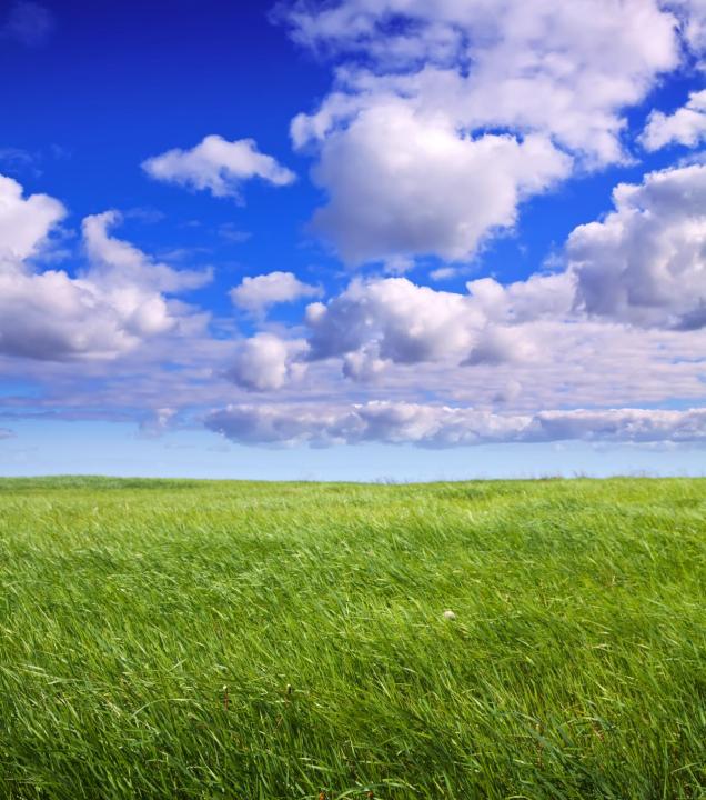 Property land/forestry for sale in Reutlingen, Germany