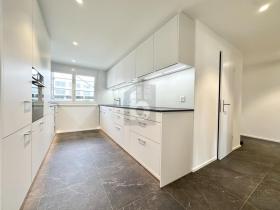 Plat te huur in Reinach, Zwitserland