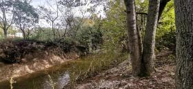 Építési telek eladó a  oldalon. Gemeinde Blumau-Neurißhof, Ausztria