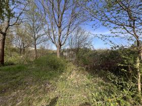 Commercial plot for sale in Eilenburg-Nordsachsen, Germany