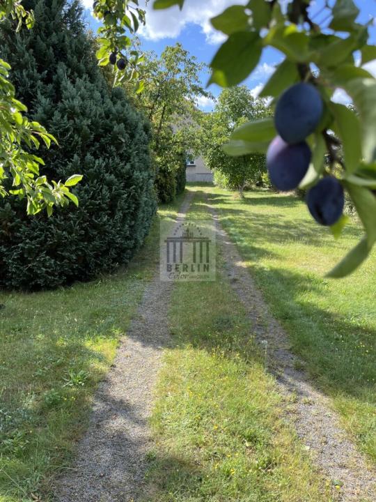 Two-family house for sale in Frauendorf an der Au-Kreis Oberspreewald-Lausitz, Germany Two-family house for sale in Frauendorf an der Au-Kreis Oberspreewald-Lausitz, Germany