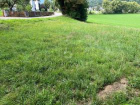 terrain à bâtir en vente à Bleibourg, Autriche