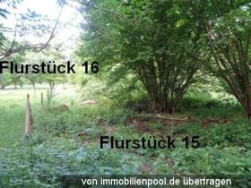 1 - Property land/forestry Foreclosures in Unkel-Neuwied, Germany