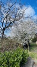 building ground  for sale in Kellinghusen-Kreis Steinburg, Germany