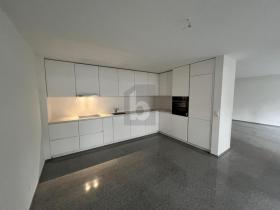 appartement pour le loyer à Cham-Cabane Ziegel, Suisse