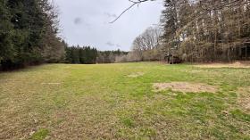 agrícola Superfície Foreclosures em Muthmannsdorf-Katastralgemeinde Muthmannsdorf, Áustria